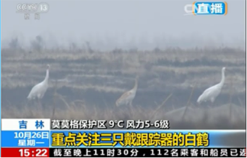 Z6人生就是博,湖南野活泼物追踪,湖南卫星追踪器,湖南追踪器 Z6人生就是博,湖南野活泼物追踪,湖南卫星追踪器,湖南追踪器