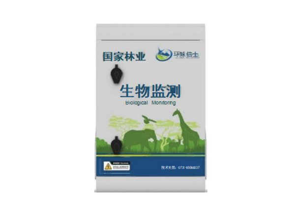 IoB系统 IoB系统